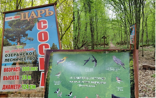 photo1.jpg